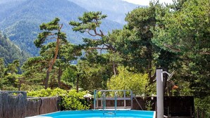 A swimming pool with a view of mountains and pine trees.
