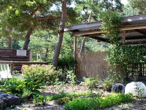 A garden with a wooden pergola, various plants, and a bench.