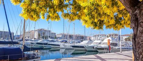 Marina