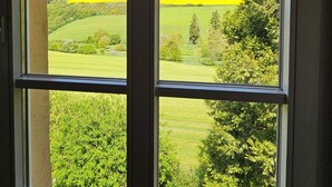 Una ventana con vistas a un paisaje verde y un campo amarillo.