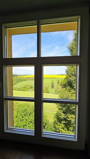 Ein Fenster mit Blick auf eine grüne Landschaft und ein gelbes Feld.
