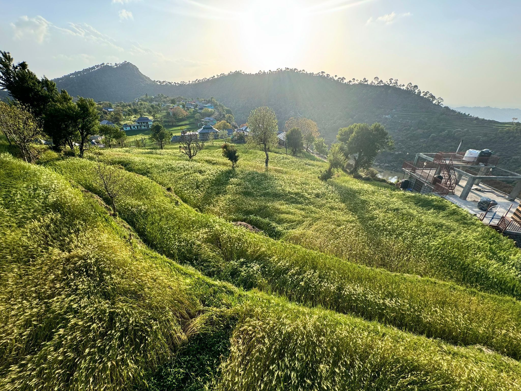 A hilly landscape with terraced fields and a few scattered buildings.