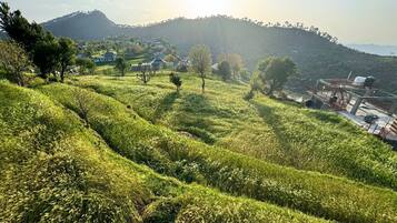 A hilly landscape with terraced fields and a few scattered buildings.