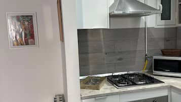 Deluxe Penthouse, Sea View | Private kitchen | Fridge, microwave, oven, stovetop