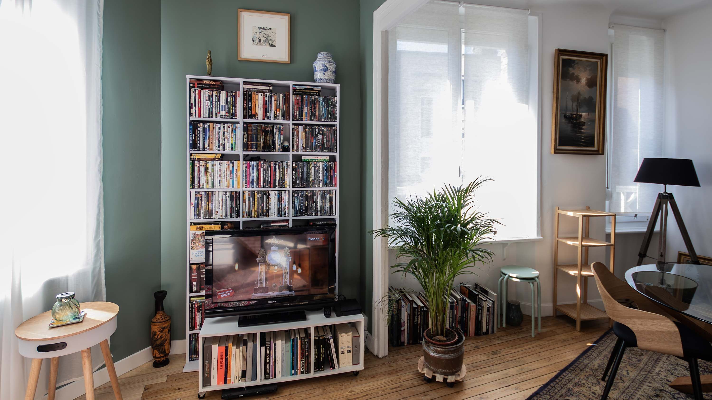 Un soggiorno con libreria, televisore, una pianta in vaso, una lampada e una poltrona.