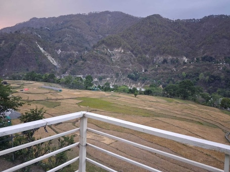 Property grounds. Hotel CSR Palace