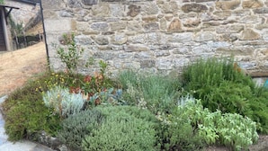 Eine Steinmauer mit einem Gartenbeet, das verschiedene Pflanzen enthält, und einer mit Steinplatten gepflasterten Fläche.