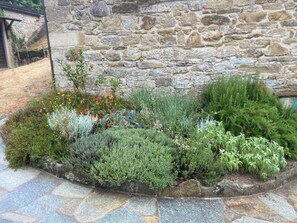 Eine Steinmauer mit einem Gartenbeet, das verschiedene Pflanzen enthält, und einer mit Steinplatten gepflasterten Fläche.