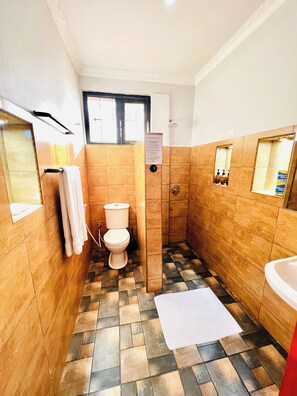 Een badkamer met toilet, douche, wastafel en spiegel.
