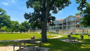 Un parque con mesas de picnic, un árbol grande y un edificio de varios pisos con balcones al fondo.