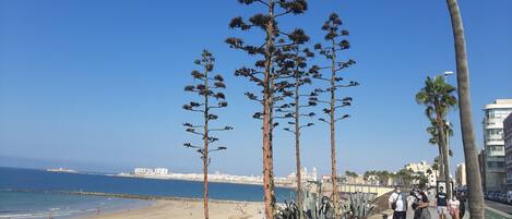 Playa