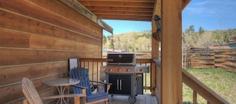 New Listing! Quaint Affordable Cabin | Walkable to Downtown Creede