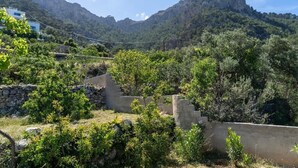A mountainous landscape with a stone wall and greenery. - Irene's Cottage Myrtonas (Karpathos)