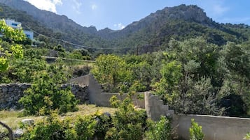 Un paisaje montañoso con un muro de piedra y vegetación.