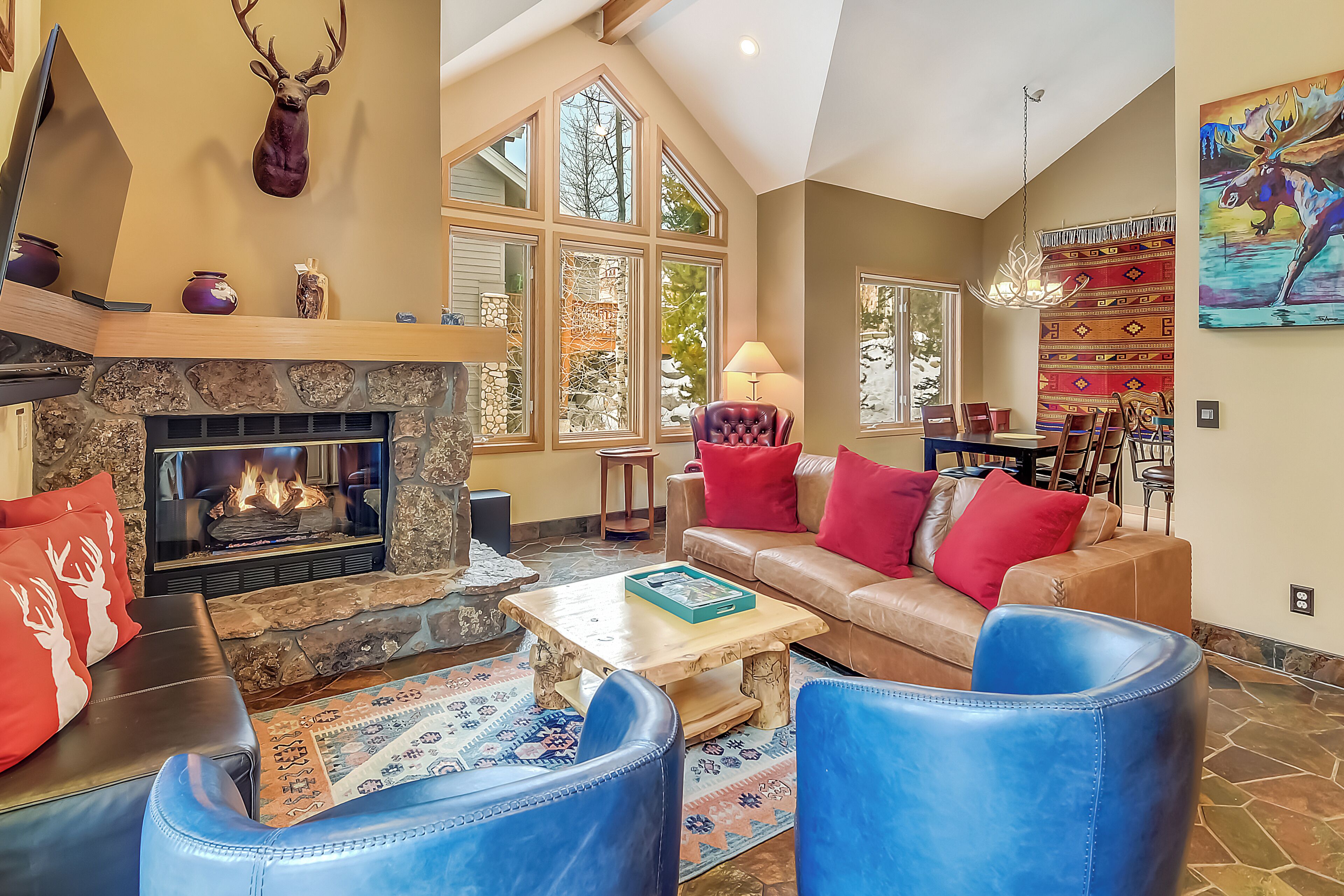 Smart TV, fireplace, books