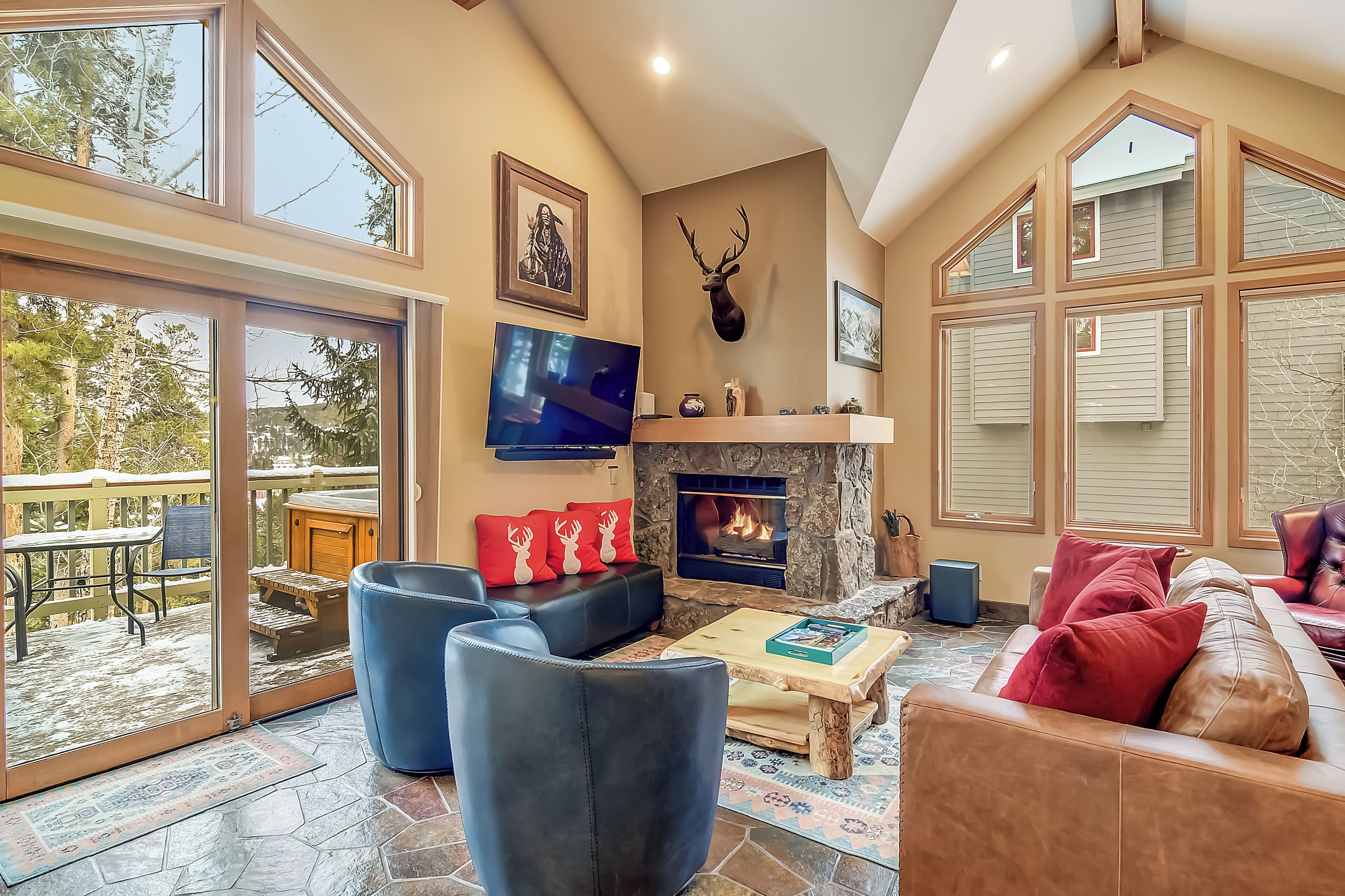 Smart TV, fireplace, books