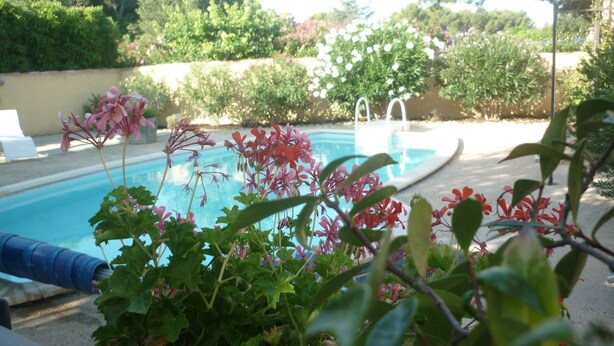 Ein Pool mit klarem, blauem Wasser, umgeben von viel Grün und einer weißen Sonnenschirmkonstruktion.