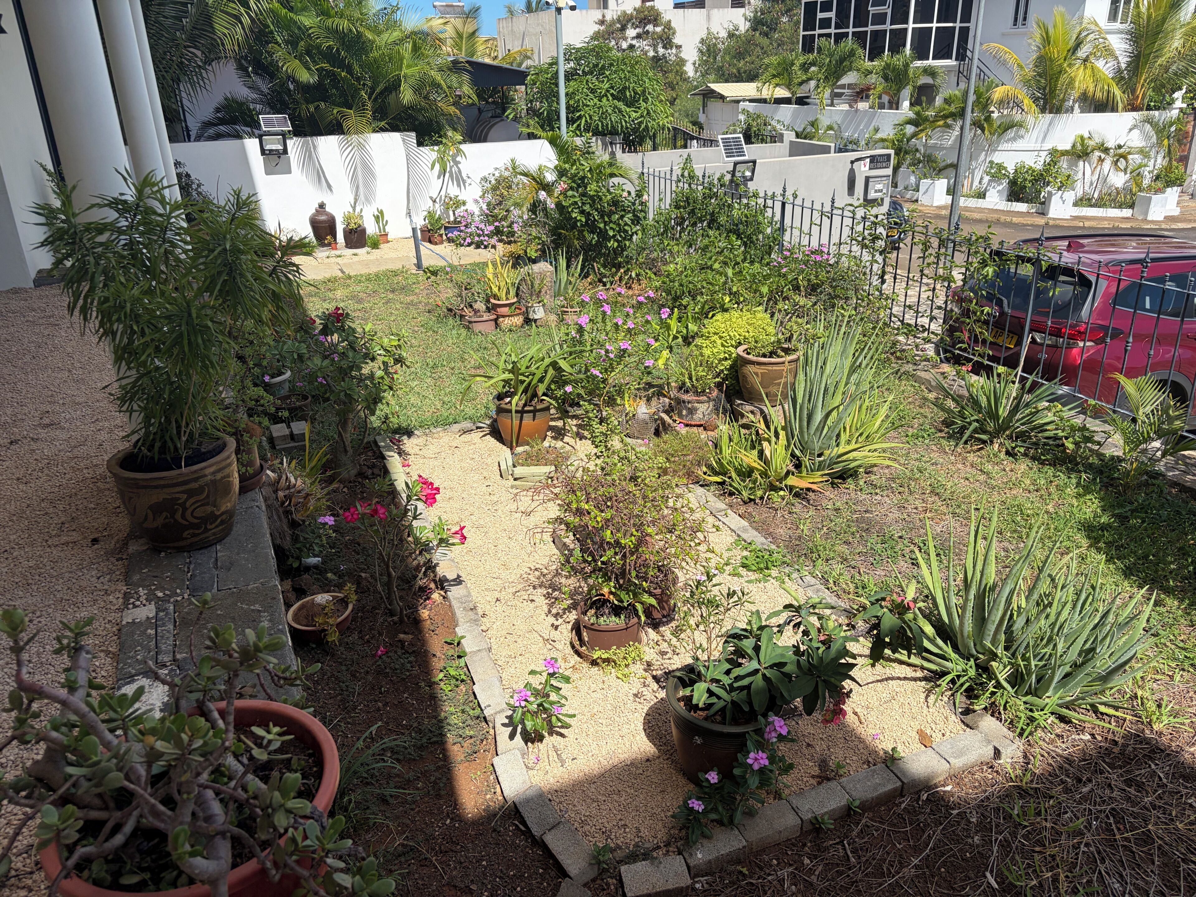 A garden with various potted plants and flowers, a paved walkway, and a red vehicle parked nearby.