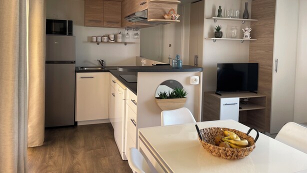 A compact kitchen with a microwave, sink, and a TV.
