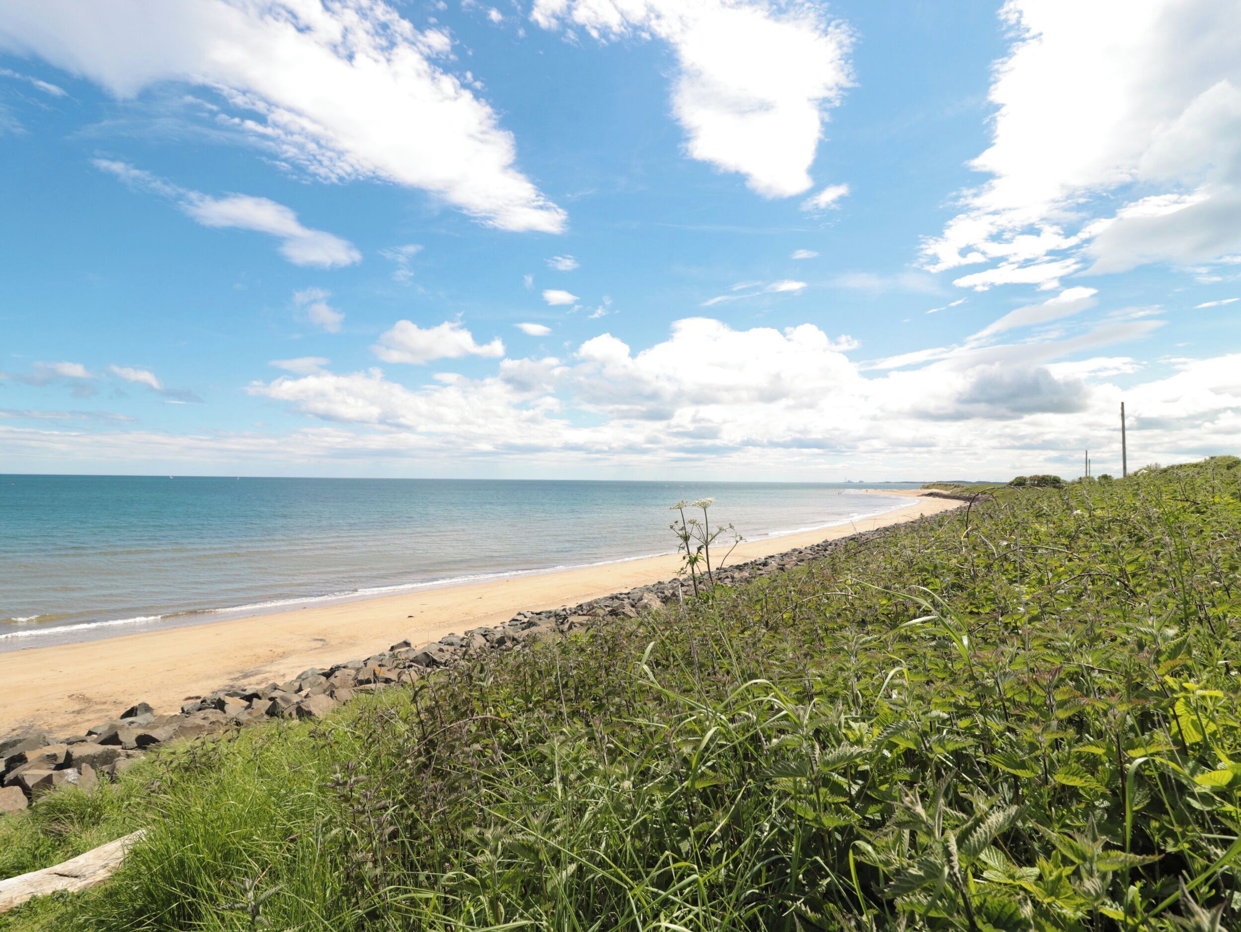 Rantaviiva on kivikkoinen, ja edustalla kasvaa tiheää kasvillisuutta.