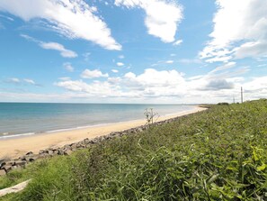 A beach with a rocky shoreline and dense vegetation in the foreground. - Amblers Rest (Morpeth)