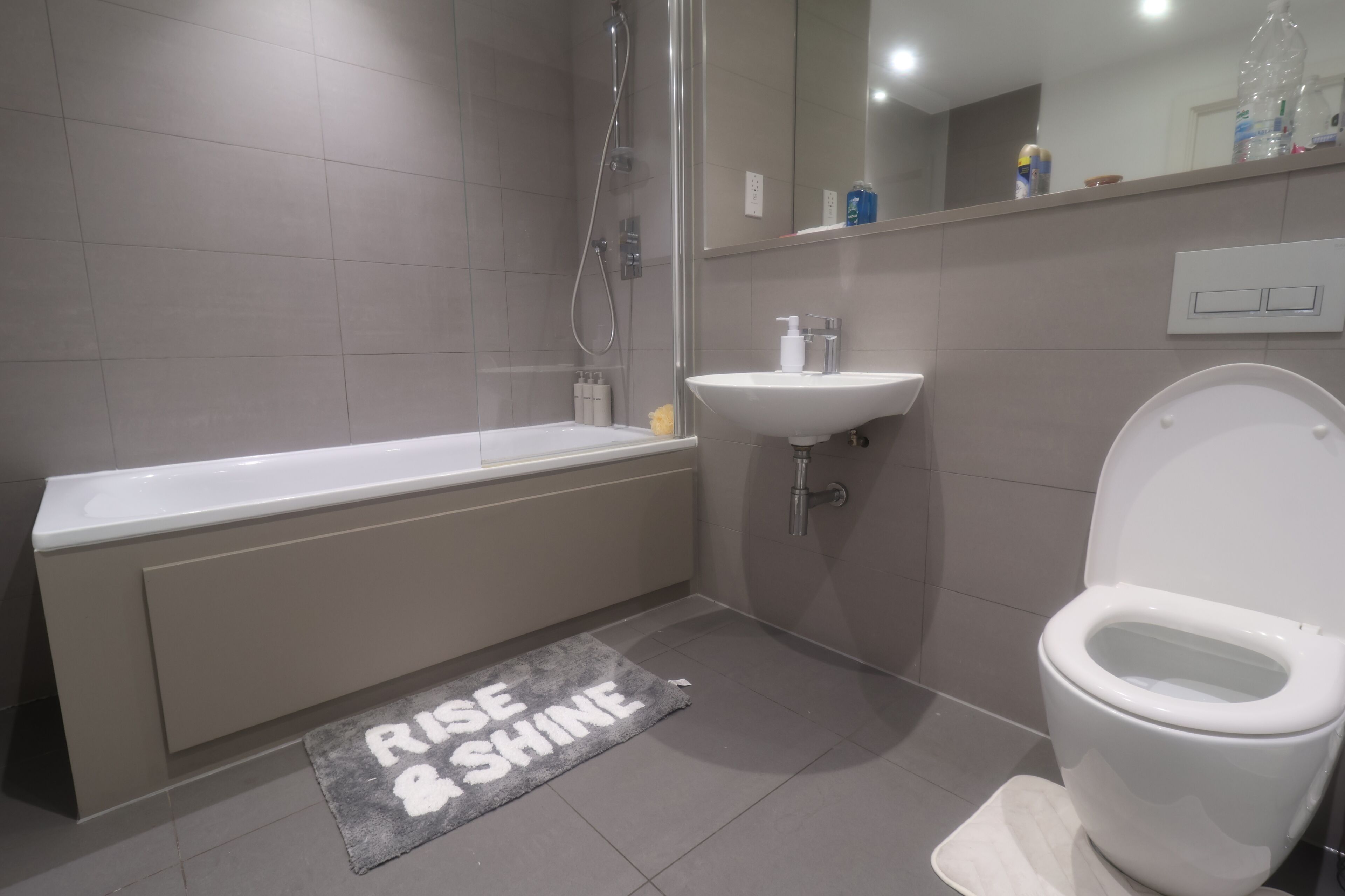 Hair dryer, towels, soap, toilet paper