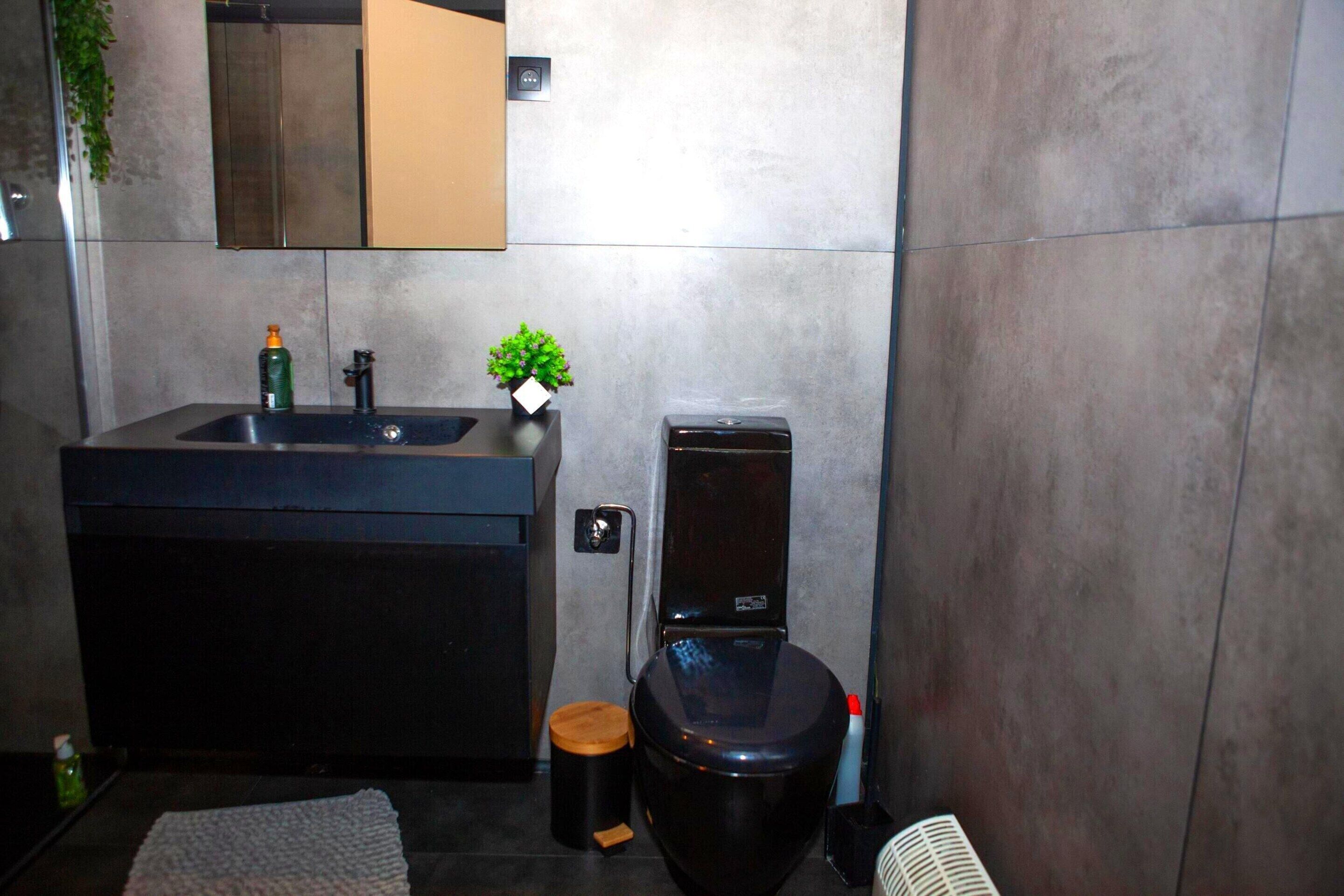 Un baño moderno con un lavamanos negro, un inodoro, una planta pequeña y un espejo sobre el lavamanos.