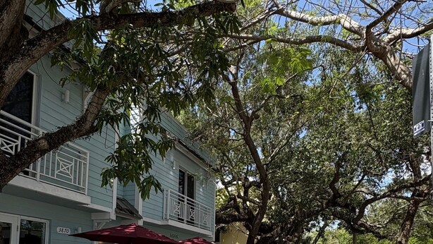 A street with a sidewalk, trees, and a building with outdoor seating. - Bed & Breakfast Coconut Grove Miami (Miami)