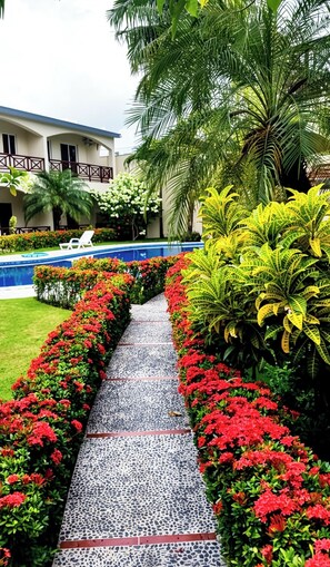 A pathway lined with red flowers and green foliage, leading to a pool area with a building in the background. - Relax & Explore: Cozy 2BR with Pool Parking & WiFi (Las Terrenas)