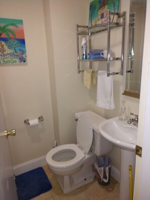 Shower - Winnipesaukee direct access with dock tranquil 3-bedroom house in Moultonborough (Moultonborough)