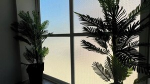 Ein Balkon mit großen Fenstern, zwei Blumentöpfen und gekachelten Bodenfliesen.