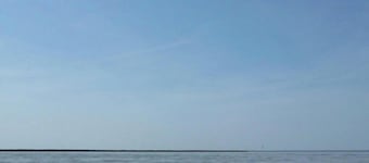 North Sea Dreams Scheper - Dune Oasis