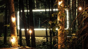 A forest path with illuminated string lights. - The Spruce Bliss Pod (Lac du Bonnet)