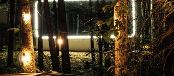 The Spruce Bliss Pod