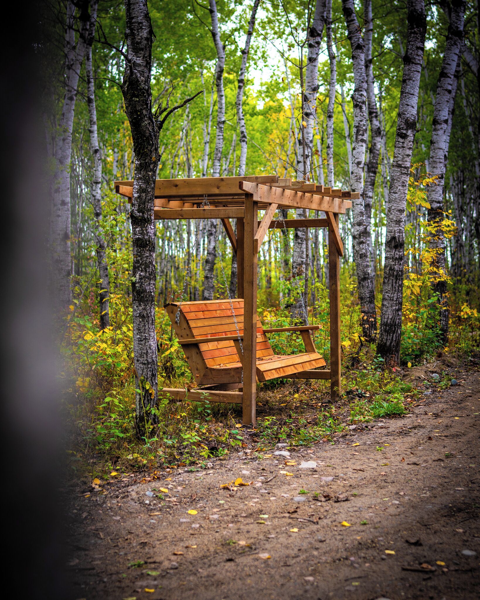 Un columpio de madera en un bosque.