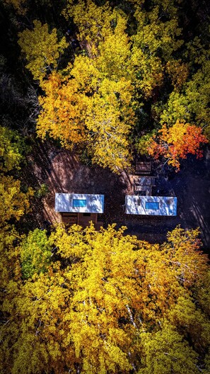 A forested area with two cabins.