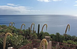 Un jardin côtier agrémenté de cactus et offrant une vue sur la mer.