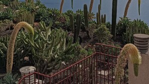 Eine Kakteengarten mit Blick auf das Meer.