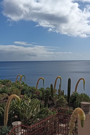 Un jardin de cactus avec vue sur la mer.