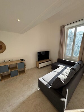 TV - Spacious renovated apartment - Heart of Nîmes (Nîmes)