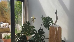 Uma sala de estar moderna com uma janela grande, um sofá e uma planta monstera em vaso.
