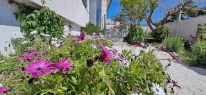 A garden with various flowers and plants, a white building, and a clear blue sky.