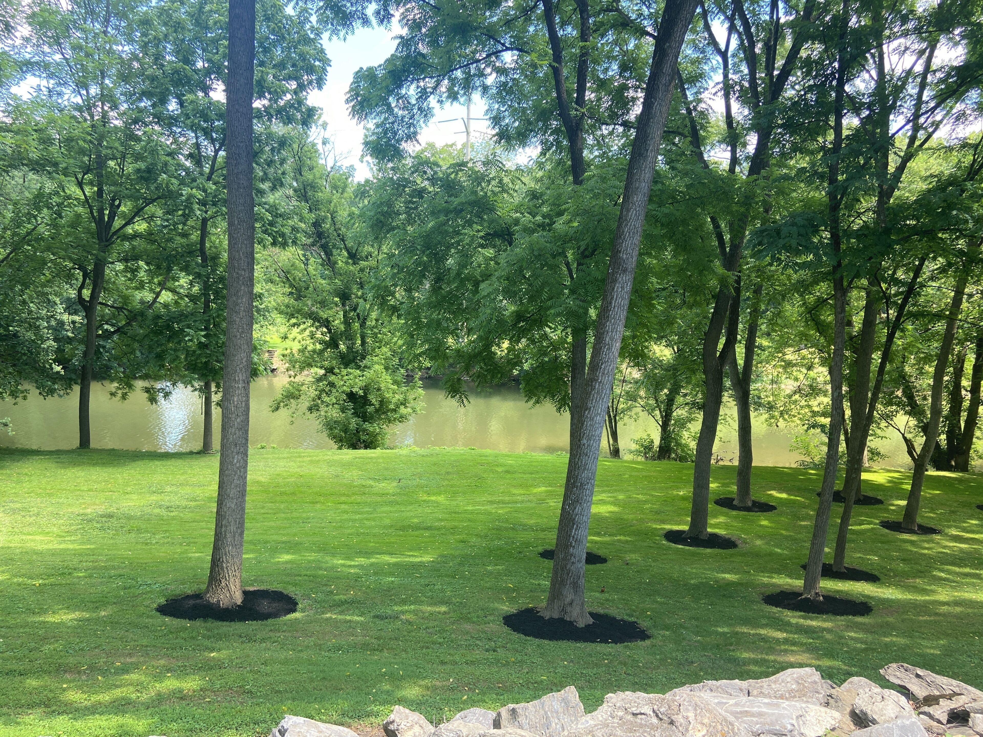 Parco della struttura