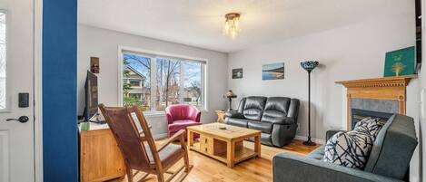 TV, fireplace, computer monitors