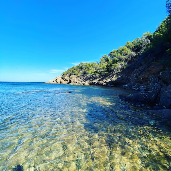 A clear coastal view with rocky terrain and vegetation.