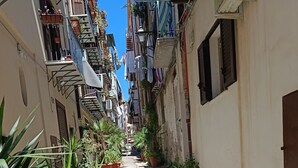 Una calle estrecha con macetas a los lados, edificios con balcones y un cielo azul despejado.