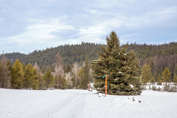 Paisaje nevado con un gran árbol de hoja perenne, una valla de madera y cielo despejado.