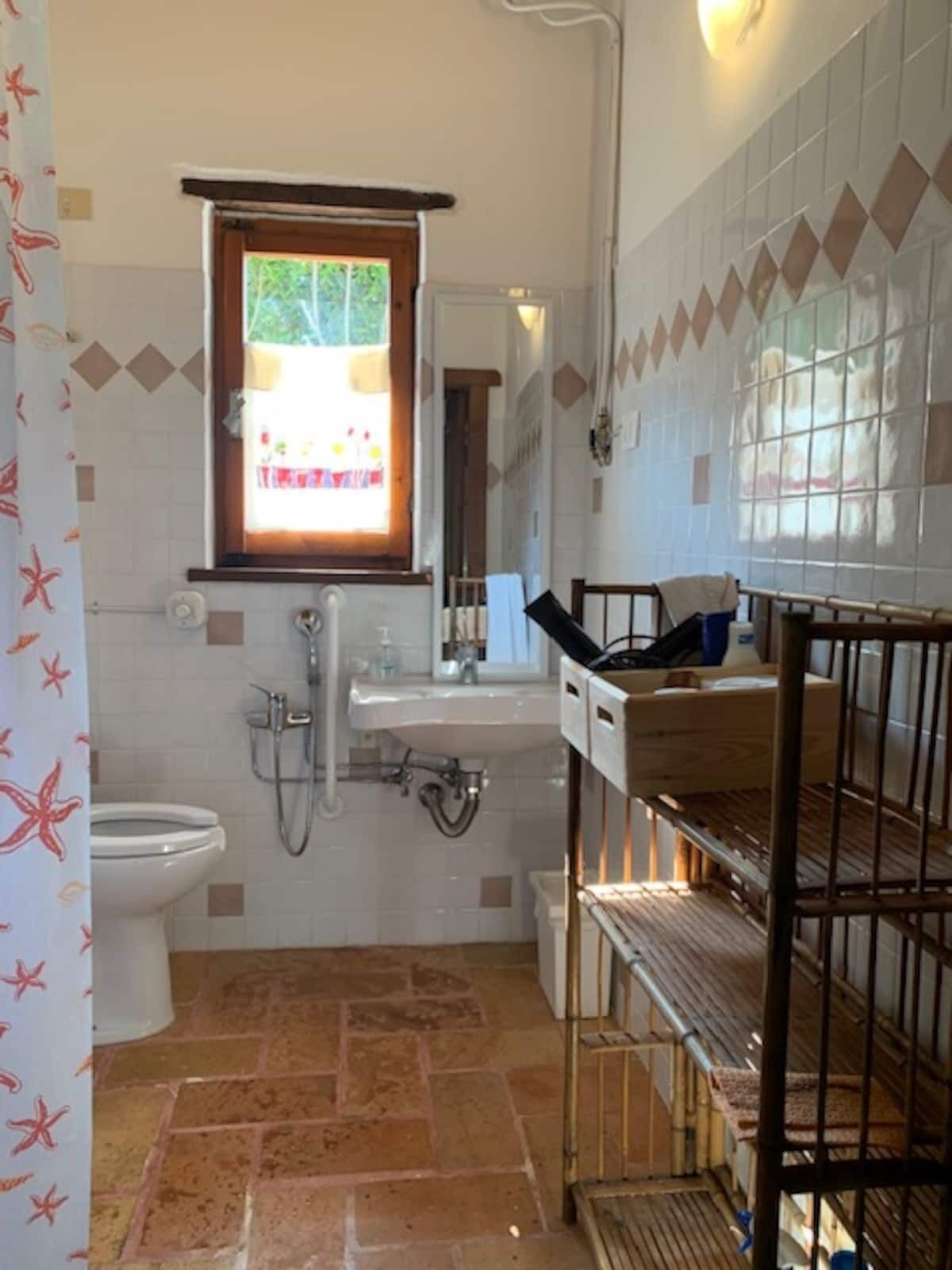 Bruser, hårtørrer, bidet, håndklæder