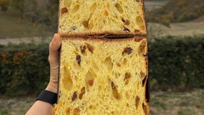 Une miche de pain aux raisins, tenue devant un paysage de montagnes et d’un ciel nuageux.