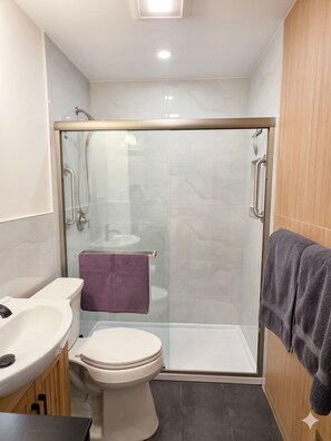 Shower, hair dryer, bidet, towels